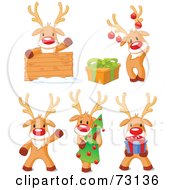 Poster, Art Print Of Digital Collage Of Cute Rudolph The Red Nosed Reindeer Poses