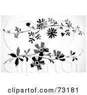 Poster, Art Print Of Digital Collage Of Black And White Floral Border Design Elements - Version 8