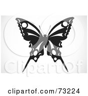 Royalty Free RF Clipart Illustration Of A Black And White Butterfly Design Element by BestVector