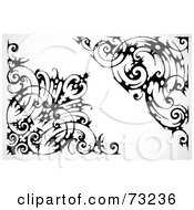 Poster, Art Print Of Digital Collage Of Black And White Floral Barbed Wire Corner Borders