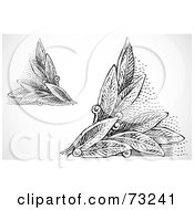 Poster, Art Print Of Digital Collage Of Black And White Leaf Corner Designs