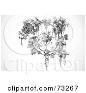 Black And White Vintage Spiraling Elegant Floral Branch