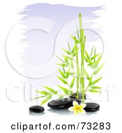 Green Bamboo With Black Spa Stones And A Frangipani Flower Over Purple Brush Strokes