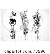 Royalty Free RF Clipart Illustration Of A Digital Collage Of Three Black And White Floral Stems Pansy Buttercups And Irises
