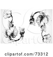 Royalty Free RF Clipart Illustration Of A Digital Collage Of Two Floral Black And White Vines