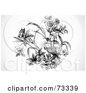 Poster, Art Print Of Black And White Garden Scene With A Butterfly