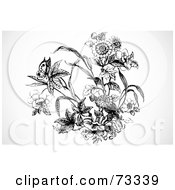 Royalty Free RF Clipart Illustration Of A Black And White Garden Scene With A Butterfly