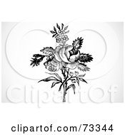 Royalty Free RF Clipart Illustration Of A Black And White Bouquet Of Roses And Forget Me Nots