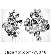 Poster, Art Print Of Digital Collage Of Two Vintage Black And White Bouquets