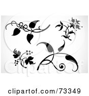 Royalty Free RF Clipart Illustration Of A Digital Collage Of Four Black And White Leaves And Plants