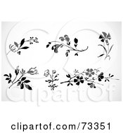 Royalty Free RF Clipart Illustration Of A Digital Collage Of Black And White Flowering Plants by BestVector