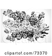 Royalty Free RF Clipart Illustration Of A Black And White Bouquet Of Forget Me Nots