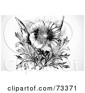 Royalty Free RF Clipart Illustration Of A Black And White California Poppy Flower And Plant