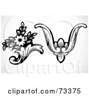 Royalty Free RF Clipart Illustration Of A Digital Collage Of Black And White Floral And Leaf Design Accents