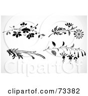 Poster, Art Print Of Digital Collage Of Black And White Leafy Branches And Flowers