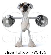 Royalty Free RF Clipart Illustration Of A 3d Jack Russell Terrier Pooch Character Weightlifting With Dumbbells Version 2 by Julos