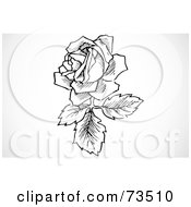 Royalty Free RF Clipart Illustration Of A Black And White Rose Blooming With Leaves And A Branch