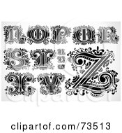 Poster, Art Print Of Digital Collage Of Scrolly Leaf Black And White Letters N Through Z
