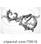Royalty Free RF Clipart Illustration Of A Black And White Snake Coiled Around A Floral Scroll