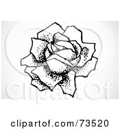 Royalty Free RF Clipart Illustration Of A Black And White Bloomed Rose With Large Petals