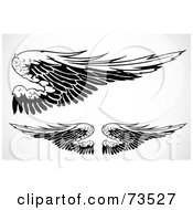 Royalty Free RF Clipart Illustration Of A Digital Collage Of Black And White Feathered Wings by BestVector