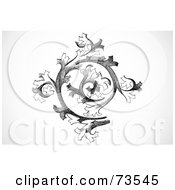Royalty Free RF Clipart Illustration Of A Black And White Curling Branch Design Element