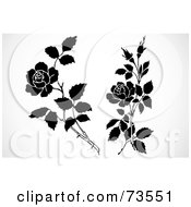 Royalty Free RF Clipart Illustration Of A Digital Collage Of Black And White Rose Branches
