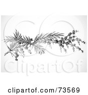 Poster, Art Print Of Black And White Twig Branch