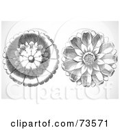 Poster, Art Print Of Digital Collage Of Two Elegant Black And White Daisy Woodcut Circles