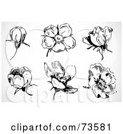 Royalty Free RF Clipart Illustration Of A Digital Collage Of Black And White Buds And Flowers