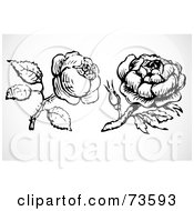 Poster, Art Print Of Digital Collage Of Two Black And White Roses And Stems