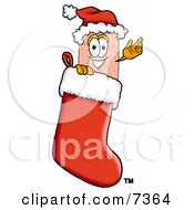 Bandaid Bandage Mascot Cartoon Character Wearing A Santa Hat Inside A Red Christmas Stocking