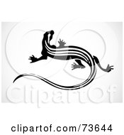Royalty Free RF Clipart Illustration Of A Black And White Lizard With A Long Tail