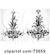 Digital Collage Of Ornate Black And White Calla And Day Lily Chandeliers