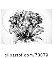 Royalty Free RF Clipart Illustration Of A Black And White Bouquet Of Star Shaped Flowers