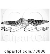 Poster, Art Print Of Black And White Eagle With Banner Border Design Element
