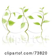 Poster, Art Print Of Digital Collage Of Three Sprouting Seedling Plants With Reflections