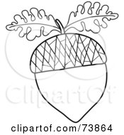 Poster, Art Print Of Black And White Acorn Outline With Oak Leaves