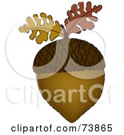 Poster, Art Print Of Brown Acorn With Two Autumn Oak Leaves