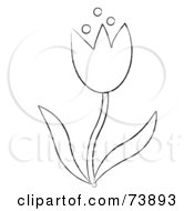 Poster, Art Print Of Black And White Outline Of A Spring Tulip Flower