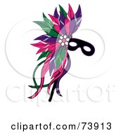 Black Mardi Gras Mask With Colorful Feathers
