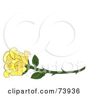 Poster, Art Print Of Long Stemmed Yellow Rose