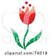 Poster, Art Print Of Red Spring Tulip Flower With Green Leaves