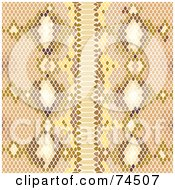 Brown Python Snake Skin Pattern Background