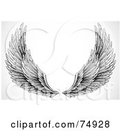 Poster, Art Print Of Pair Of Black And White Feathery Open Wings