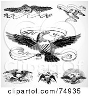 Poster, Art Print Of Digital Collage Of Black And White Eagles And Banners