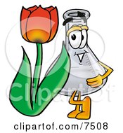 An Erlenmeyer Conical Laboratory Flask Beaker Mascot Cartoon Character With A Red Tulip Flower In The Spring