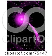 Poster, Art Print Of Shooting And Exploding Purple Firework On Black
