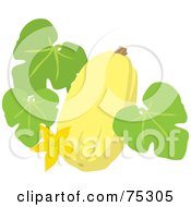 Poster, Art Print Of Yellow Squash With Leaves And A Blossom