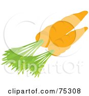 Royalty Free RF Clipart Illustration Of Two Organic Carrots With Leaves